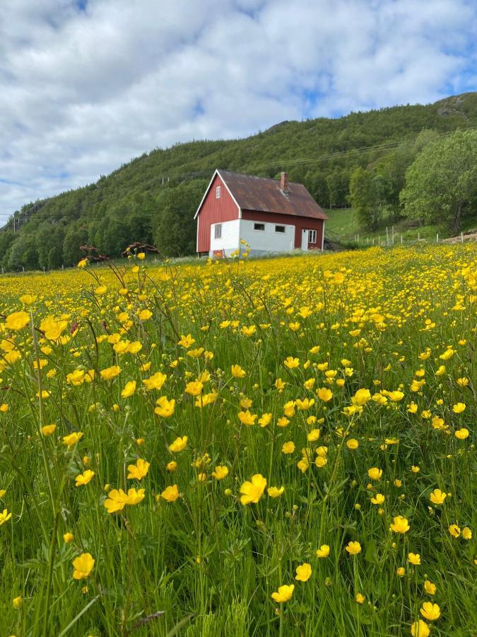 Unique And Charming Holiday Home With Fantastic Sea Views Tromso Exterior photo