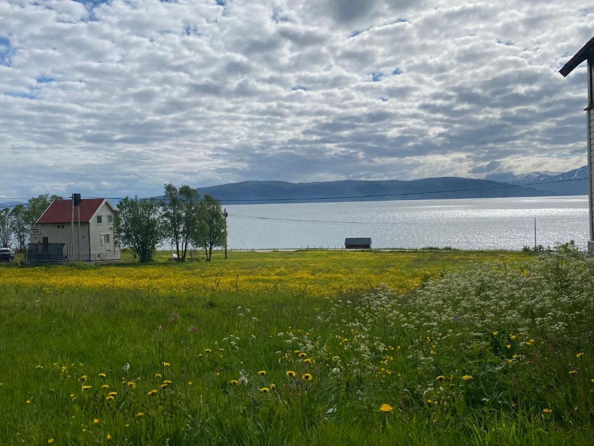 Unique And Charming Holiday Home With Fantastic Sea Views Tromso Exterior photo